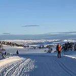 Chalet Venehovda - At 1000 Masl