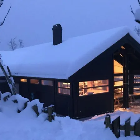 Venehovda - At 1000 Masl Chalet Ål