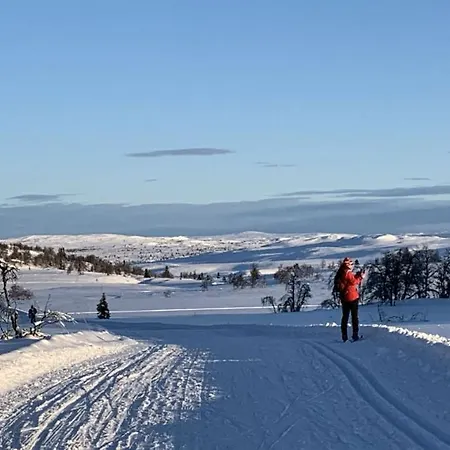 Horská chata Venehovda - At 1000 Masl