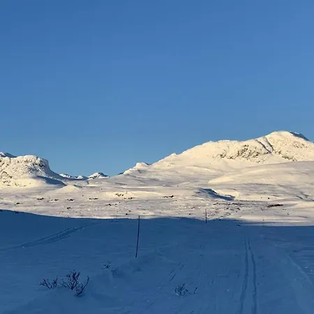 Chalé Venehovda - At 1000 Masl