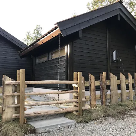 Venehovda - At 1000 Masl * Al