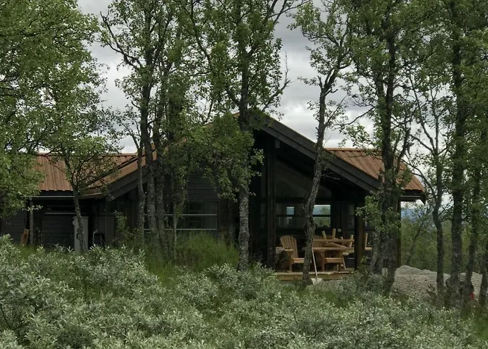 Chalet Venehovda - At 1000 Masl *