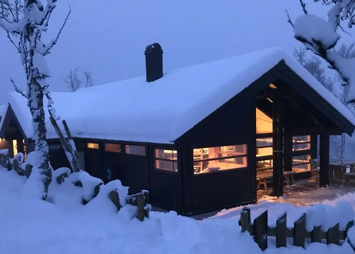 Venehovda - At 1000 Masl Chalet Ål