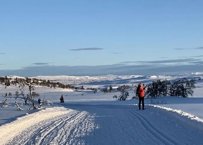 Chalet Venehovda - At 1000 Masl