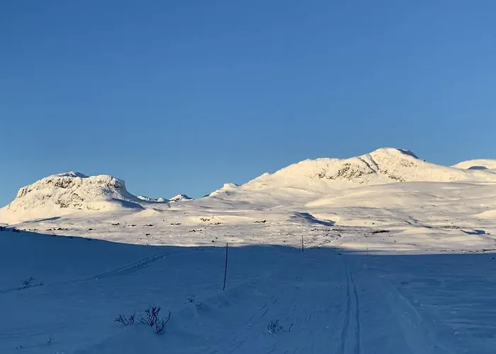 Chalet Venehovda - At 1000 Masl