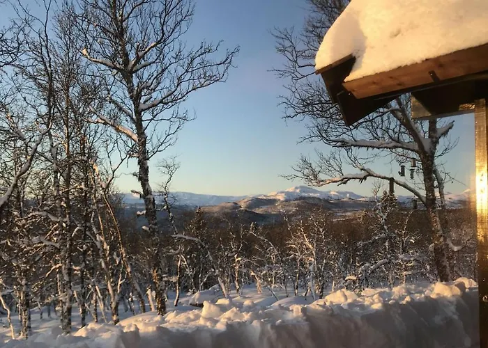 Chalet Venehovda - At 1000 Masl Ål